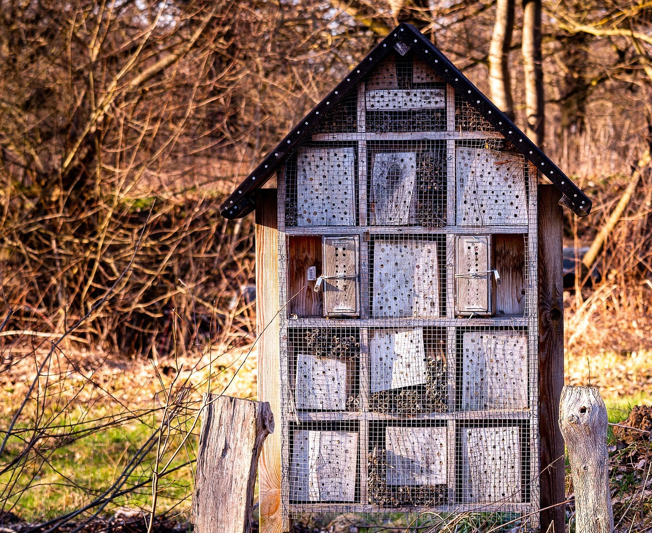 Wildlife Haven: Expert Guide to Maintaining Bat, Owl, and Bee Houses Image by Jürgen from Pixabay